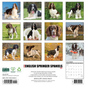 Willow Creek Press - 2027 English Springer Spaniels Calendar