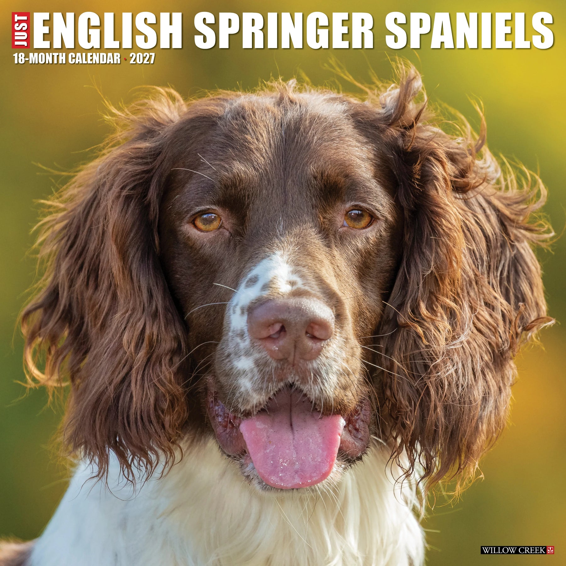 Willow Creek Press - 2027 English Springer Spaniels Calendar