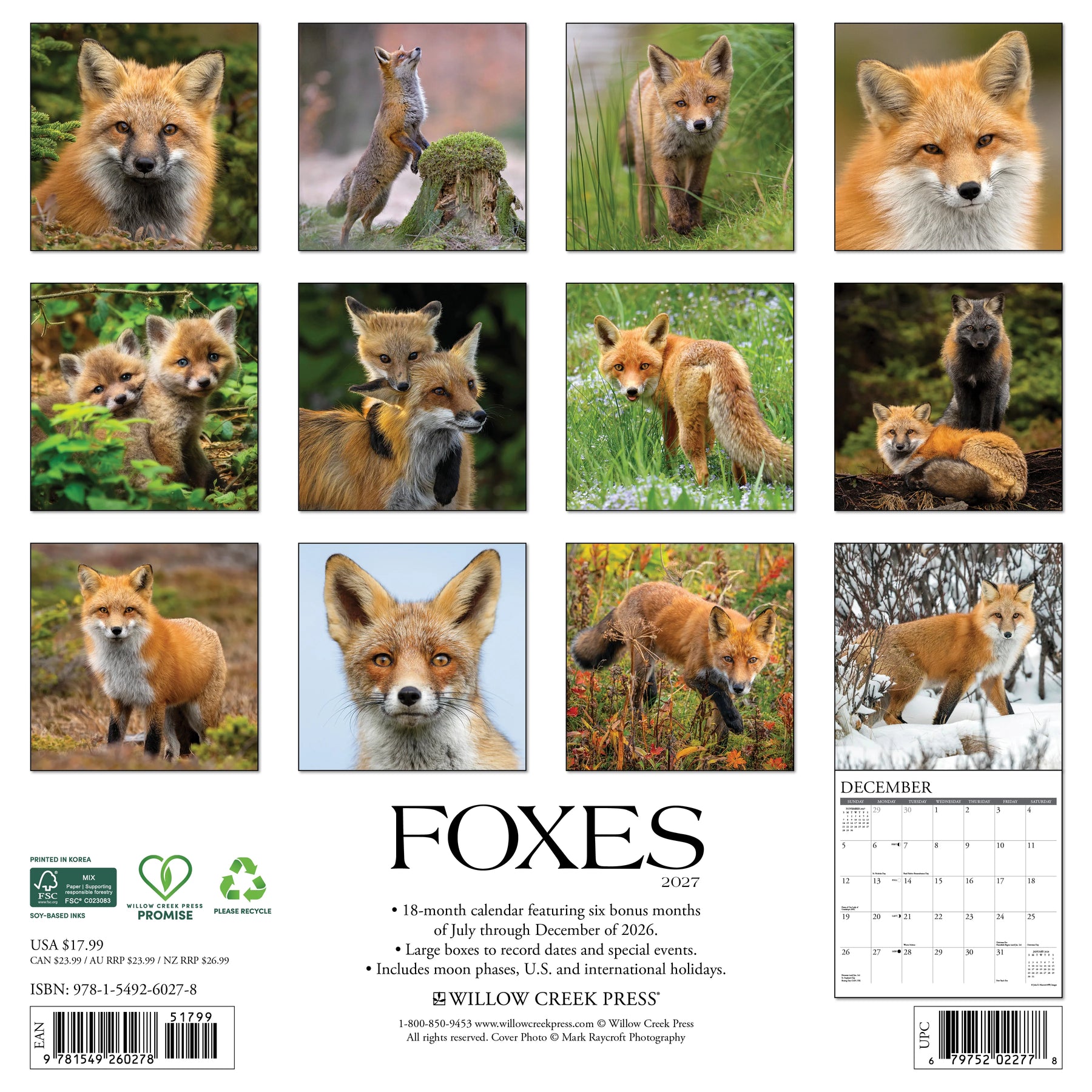 Willow Creek Press - 2027 Foxes Calendar