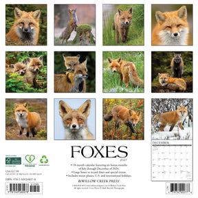 Willow Creek Press - 2027 Foxes Calendar