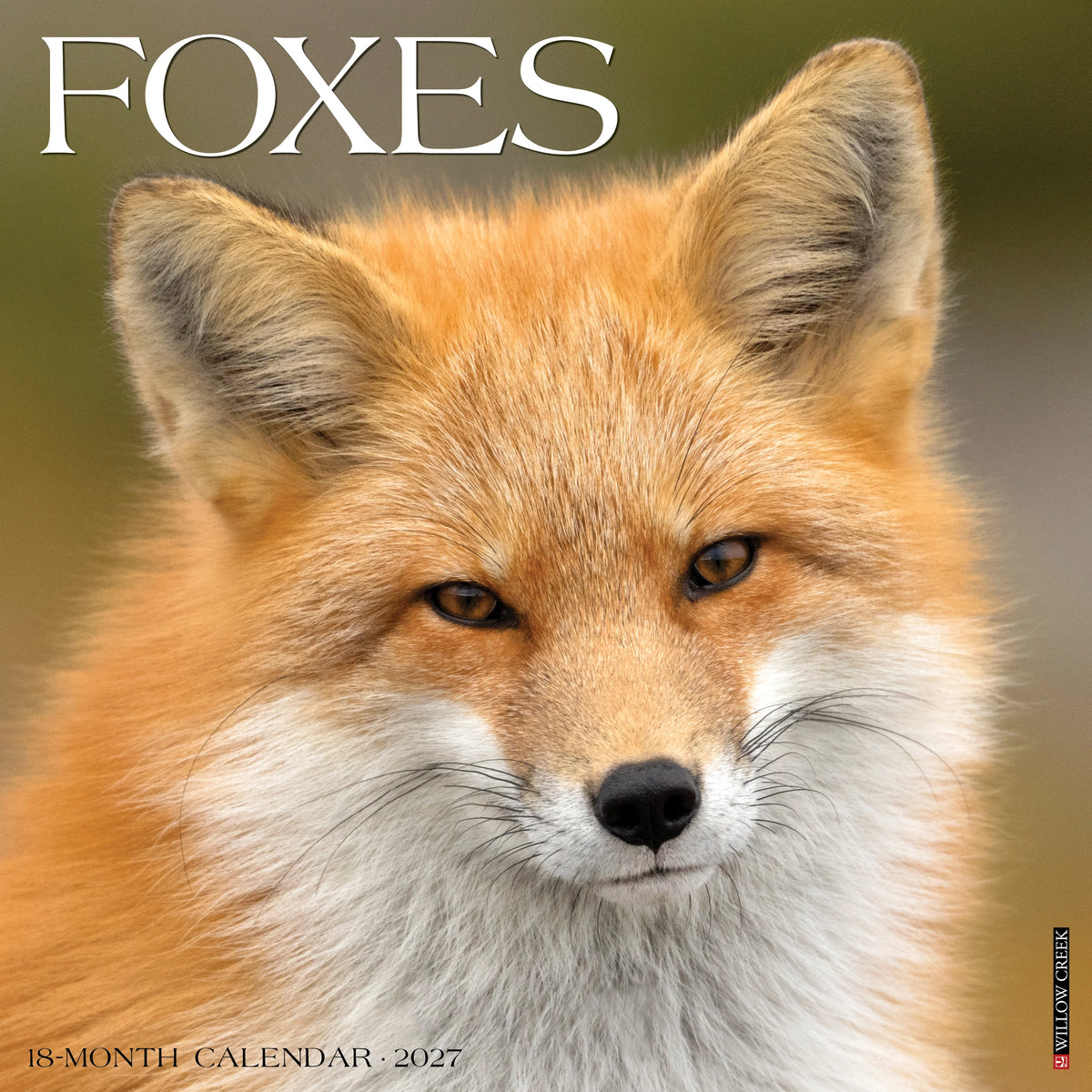 Willow Creek Press - 2027 Foxes Calendar