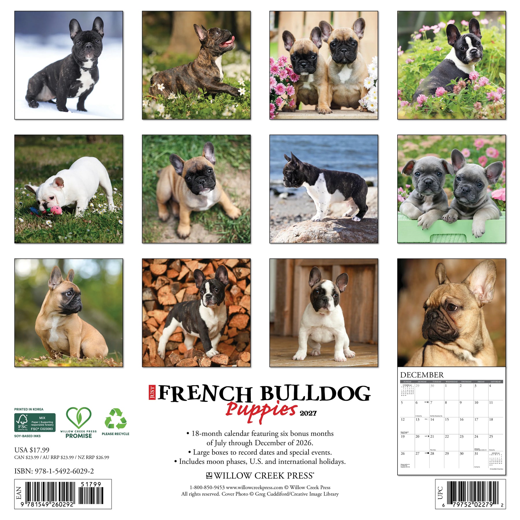 Willow Creek Press - 2027 French Bulldog Pups Calendar
