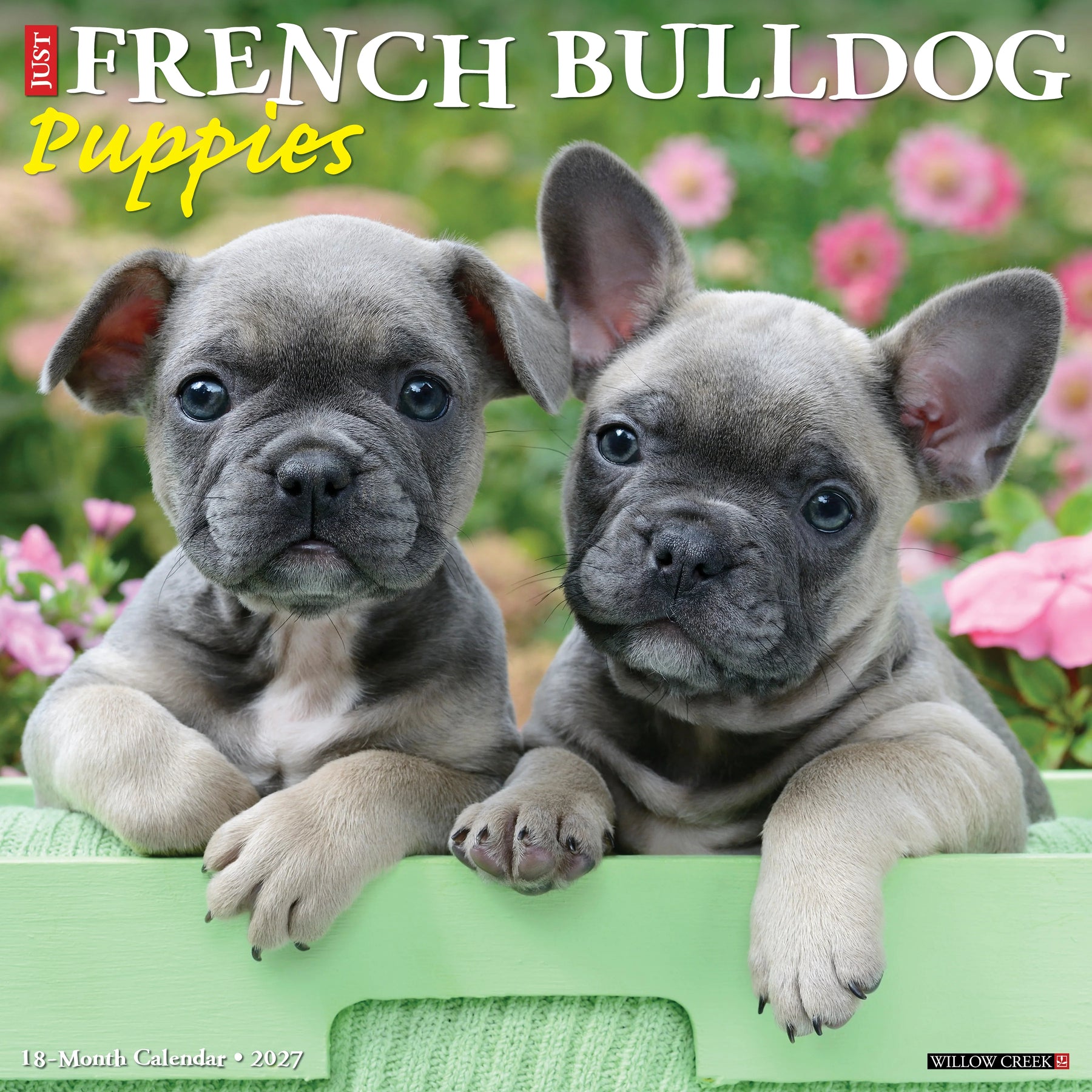 Willow Creek Press - 2027 French Bulldog Pups Calendar
