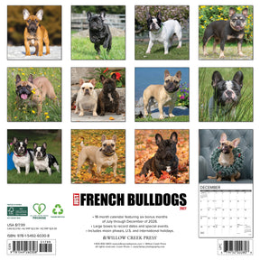 Willow Creek Press - 2027 French Bulldogs Calendar