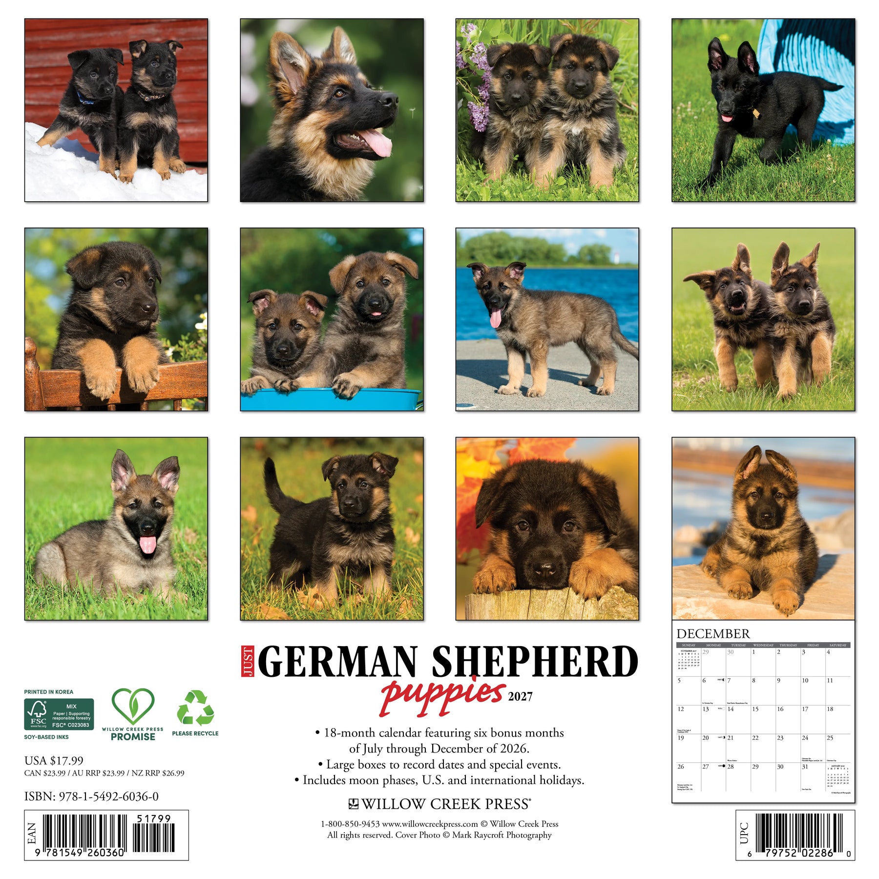 Willow Creek Press - 2027 German Shepherd Pups Calendar