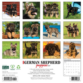 Willow Creek Press - 2027 German Shepherd Pups Calendar