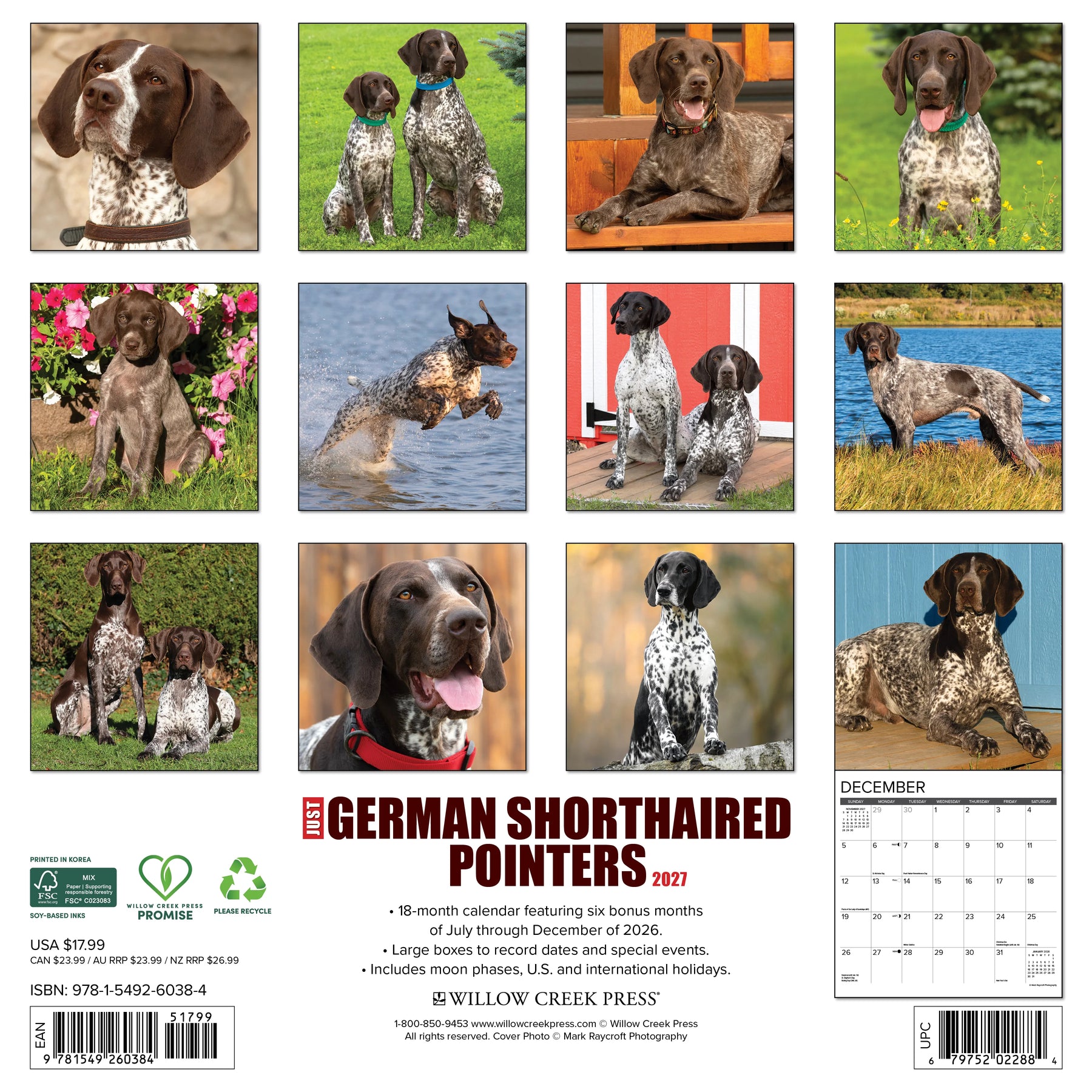 Willow Creek Press - 2027 German Shorthaired Pointers Calendar