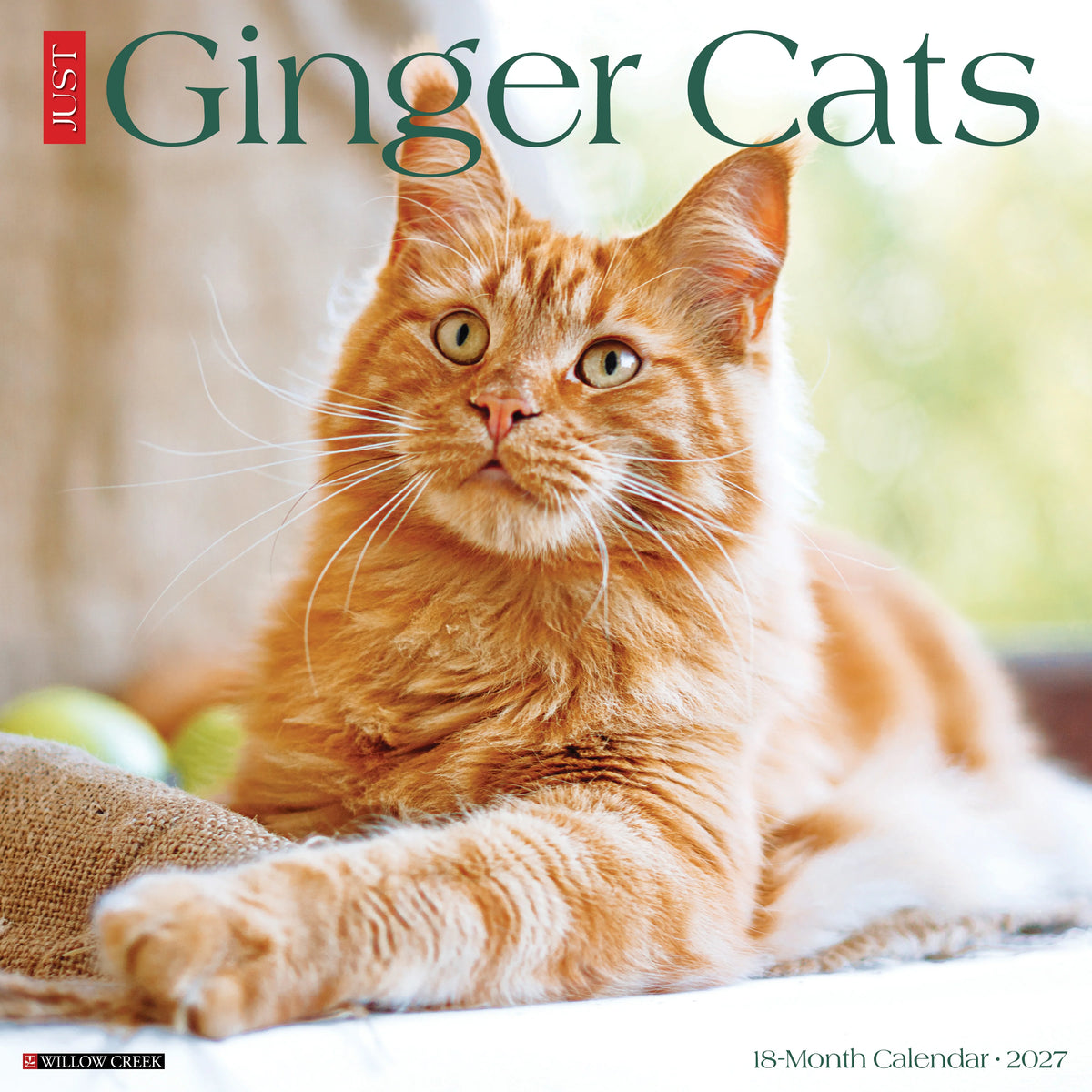 Willow Creek Press - 2027 Ginger Cats Calendar