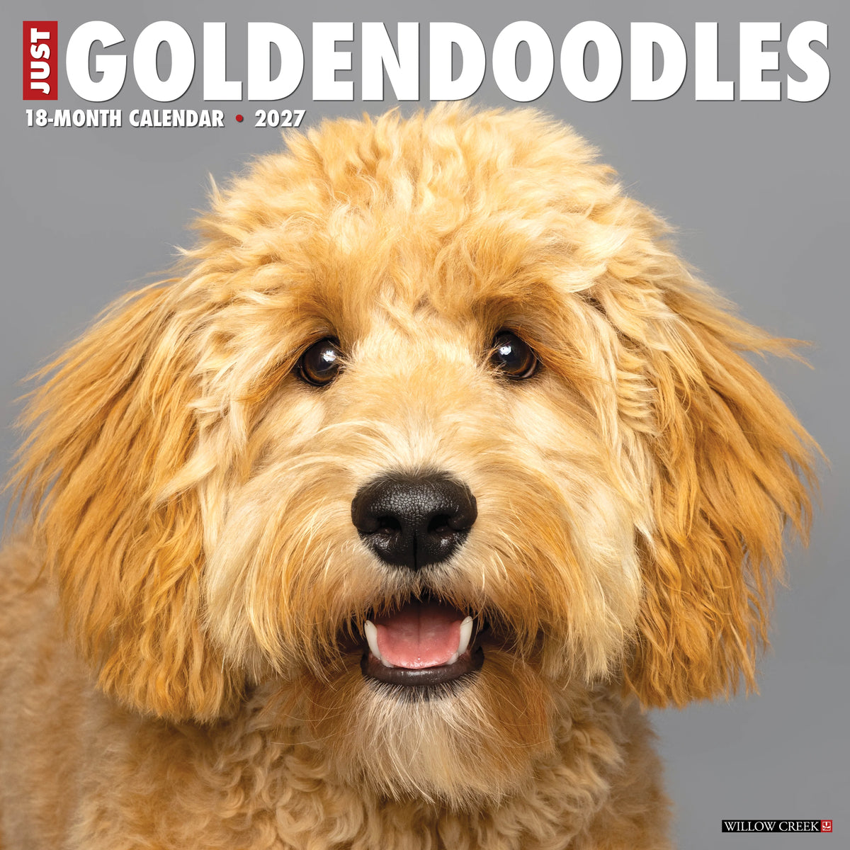 Willow Creek Press - 2027 Goldendoodles Calendar