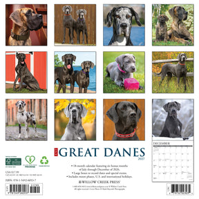 Willow Creek Press - 2027 Great Danes Calendar