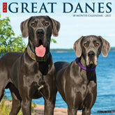 Willow Creek Press - 2027 Great Danes Calendar
