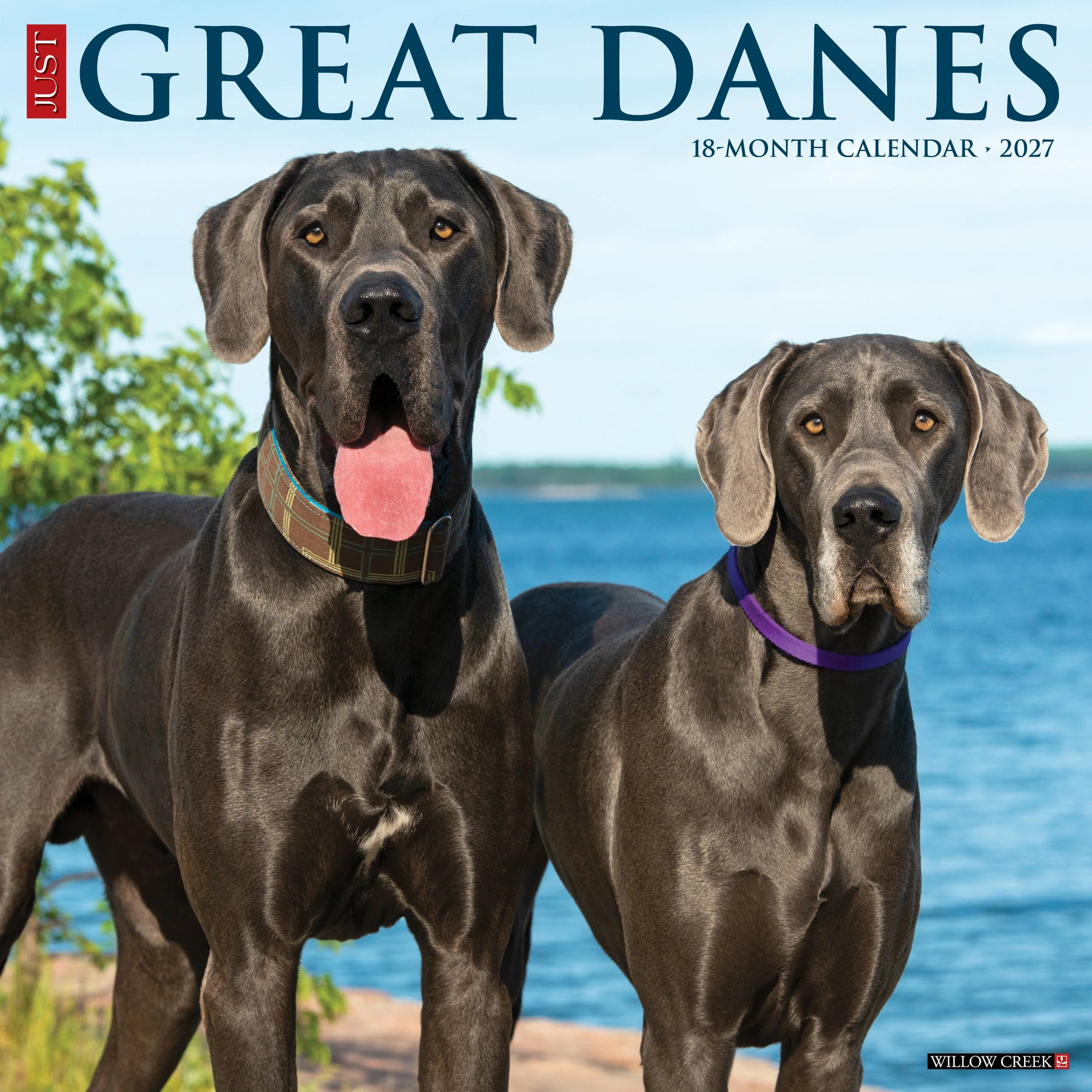 Willow Creek Press - 2027 Great Danes Calendar