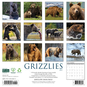 Willow Creek Press - 2027 Grizzlies Calendar