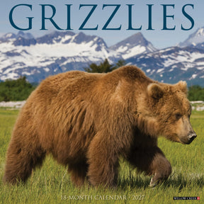 Willow Creek Press - 2027 Grizzlies Calendar