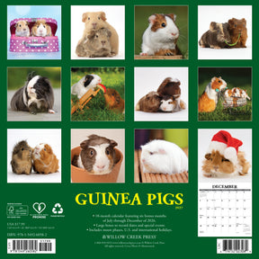 Willow Creek Press - 2027 Guinea Pigs Calendar