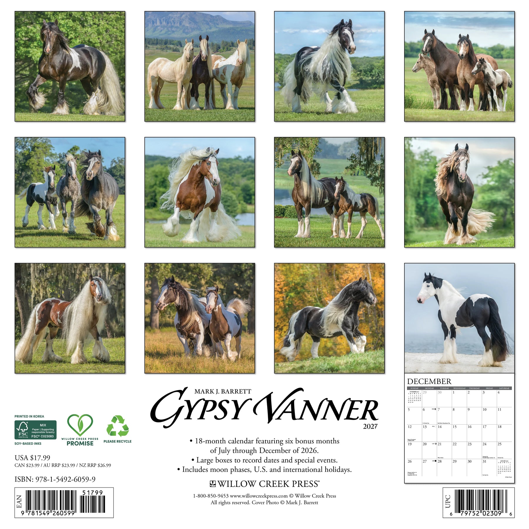 Willow Creek Press - 2027 Gypsy Vanner Horse Calendar