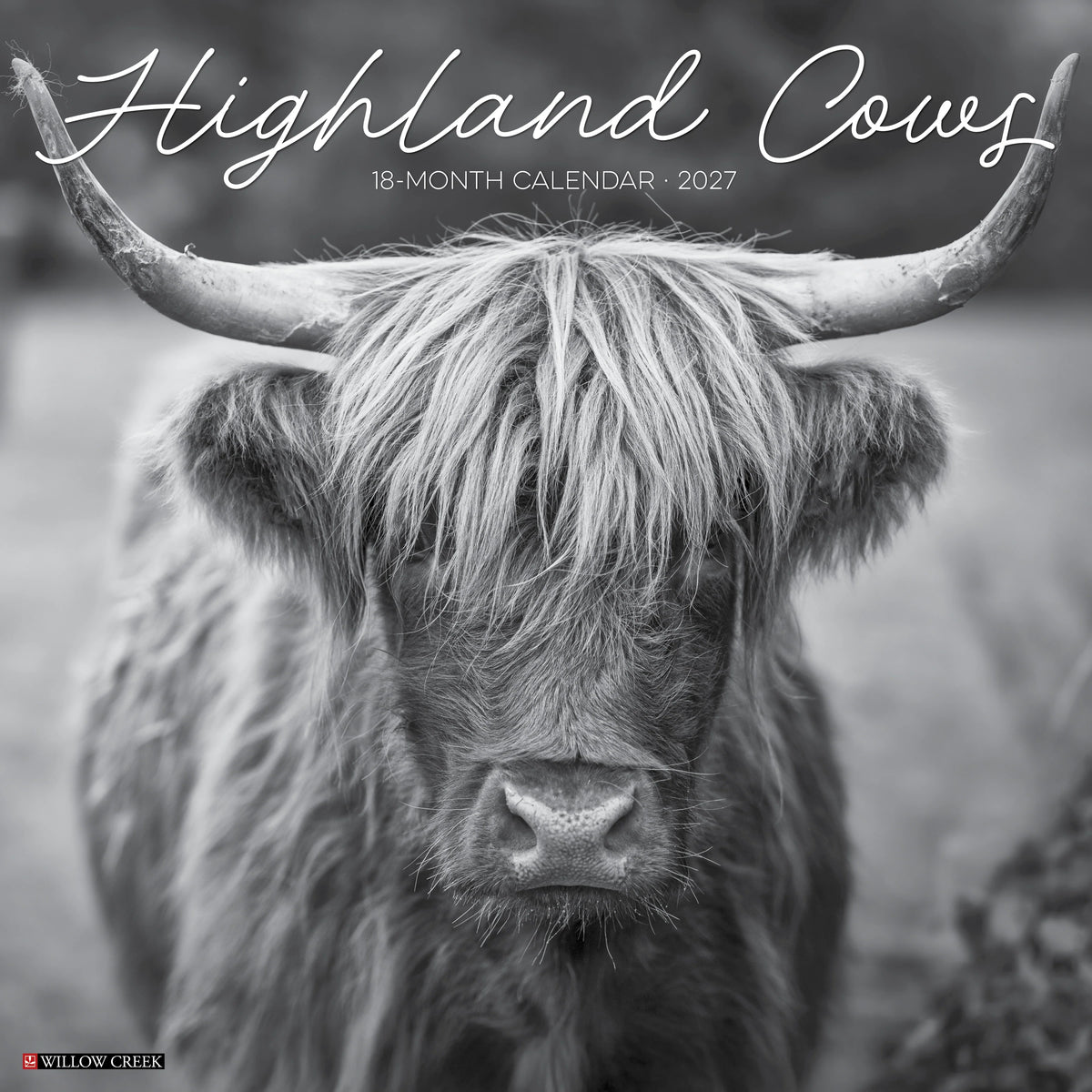Willow Creek Press - 2027 Highland Cows B&W Calendar