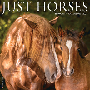 Willow Creek Press - 2027 Horses Calendar