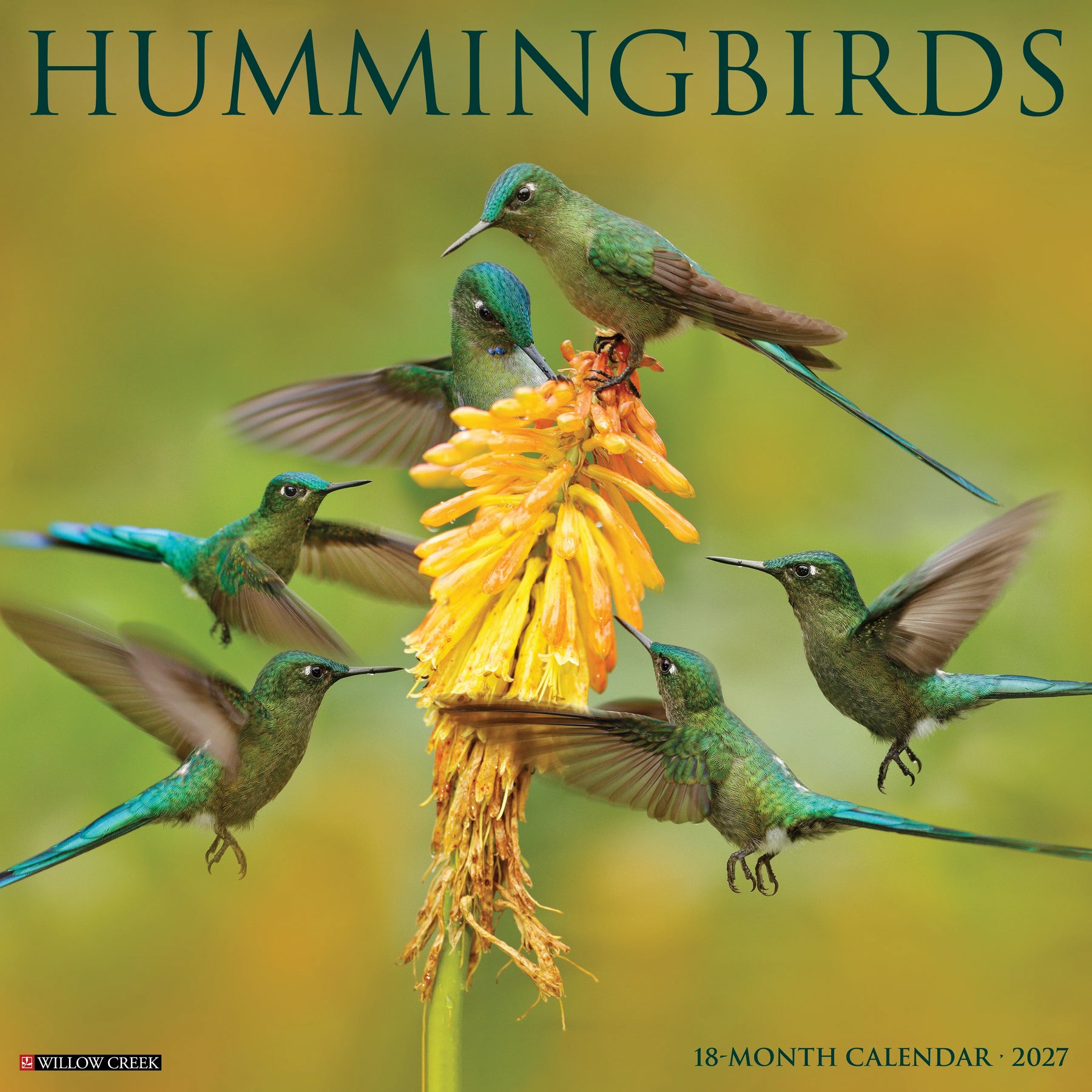 Willow Creek Press - 2027 Hummingbirds Calendar