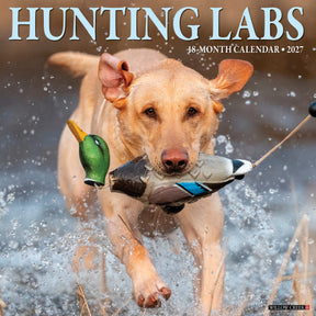 Willow Creek Press - 2027 Hunting Labs Calendar