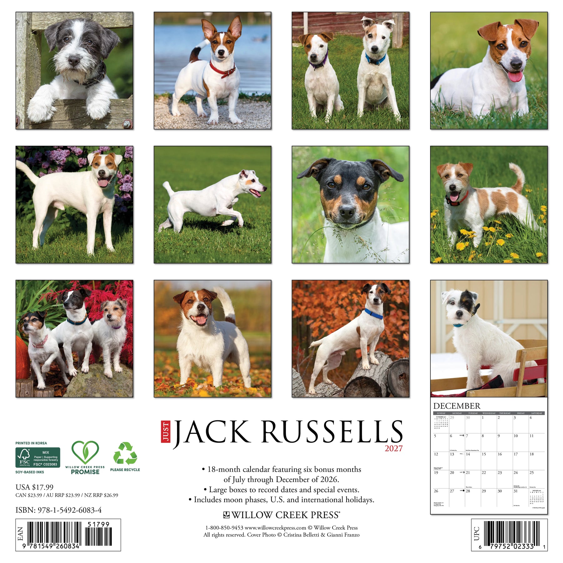 Willow Creek Press - 2027 Jack Russells Calendar