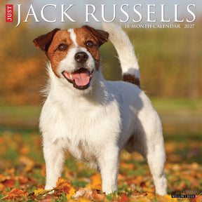 Willow Creek Press - 2027 Jack Russells Calendar