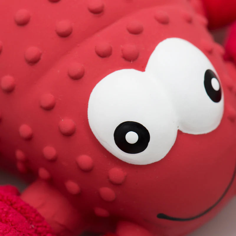 HuggleHounds - McCracken Lobsta Huggle-Fusion Ruff-Tex Dog Toy