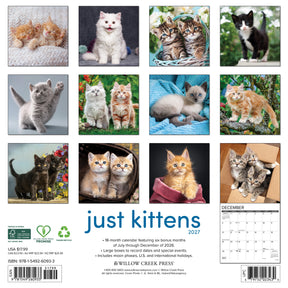 Willow Creek Press - 2027 Kittens Calendar