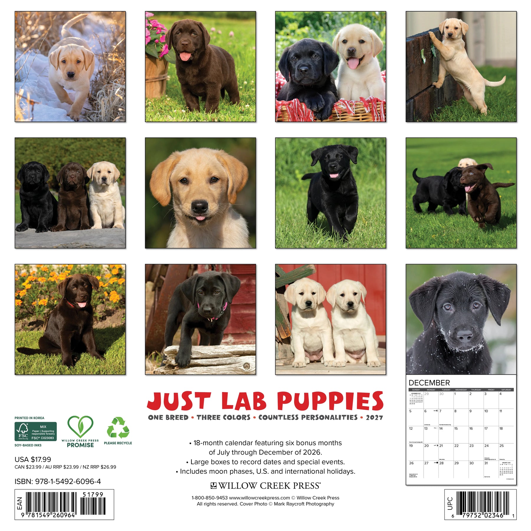Willow Creek Press - 2027 Lab Puppies Calendar