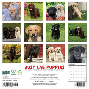 Willow Creek Press - 2027 Lab Puppies Calendar