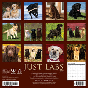 Willow Creek Press - 2027 Labs Calendar