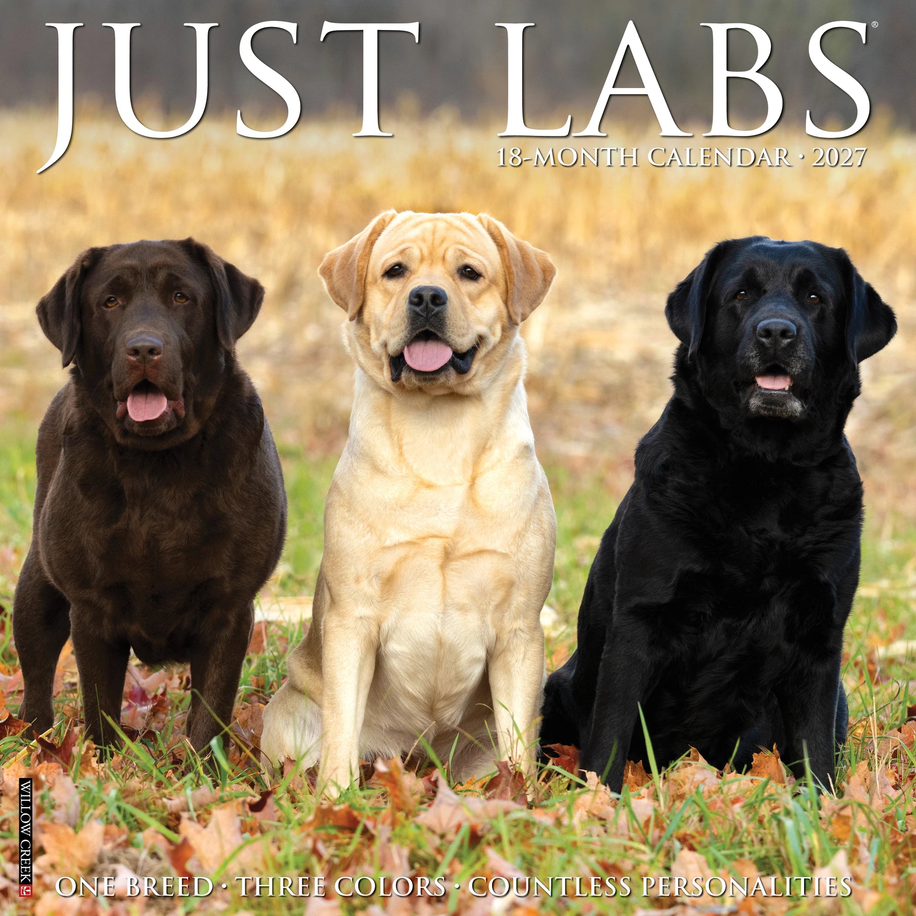 Willow Creek Press - 2027 Labs Calendar