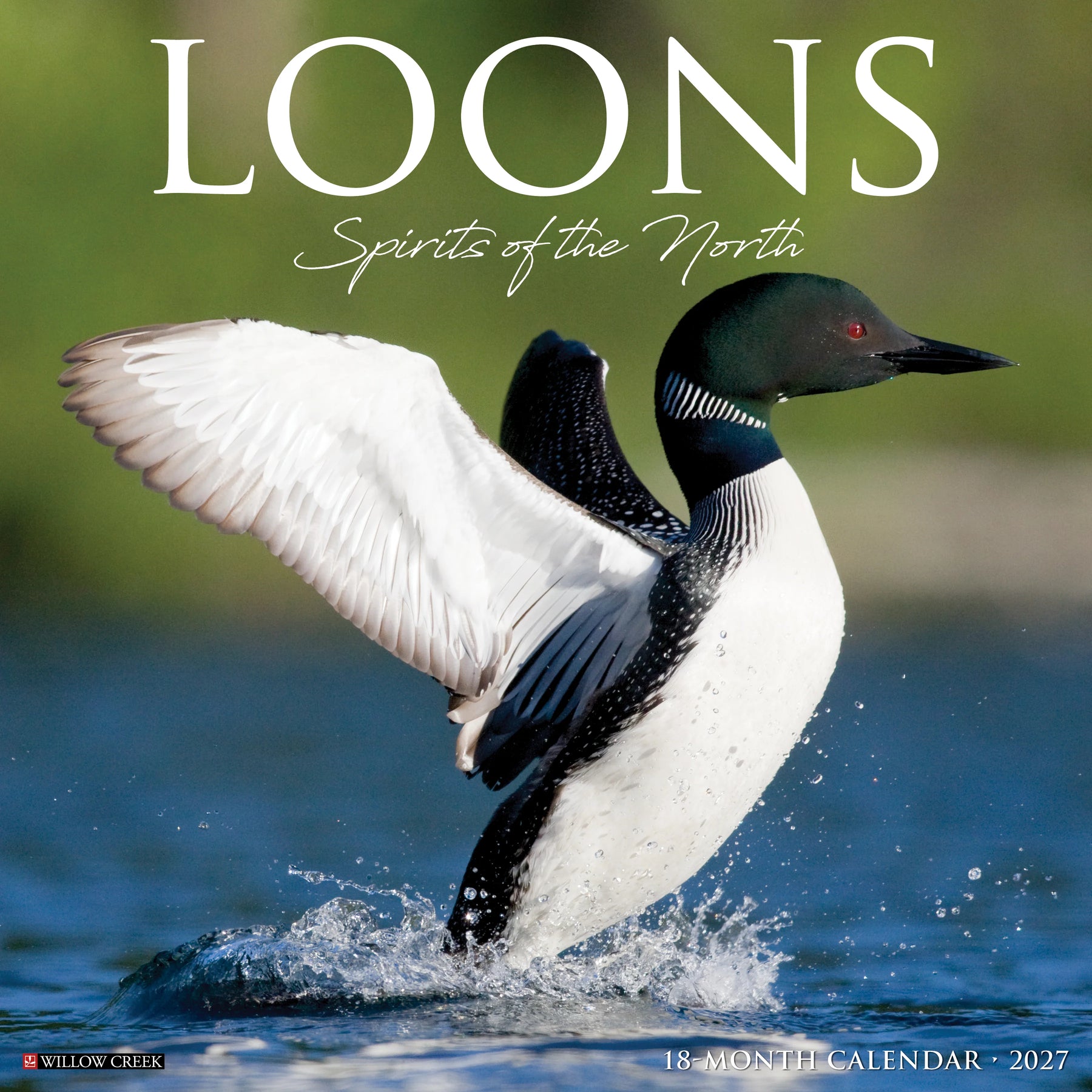 Willow Creek Press - 2027 Loons Calendar