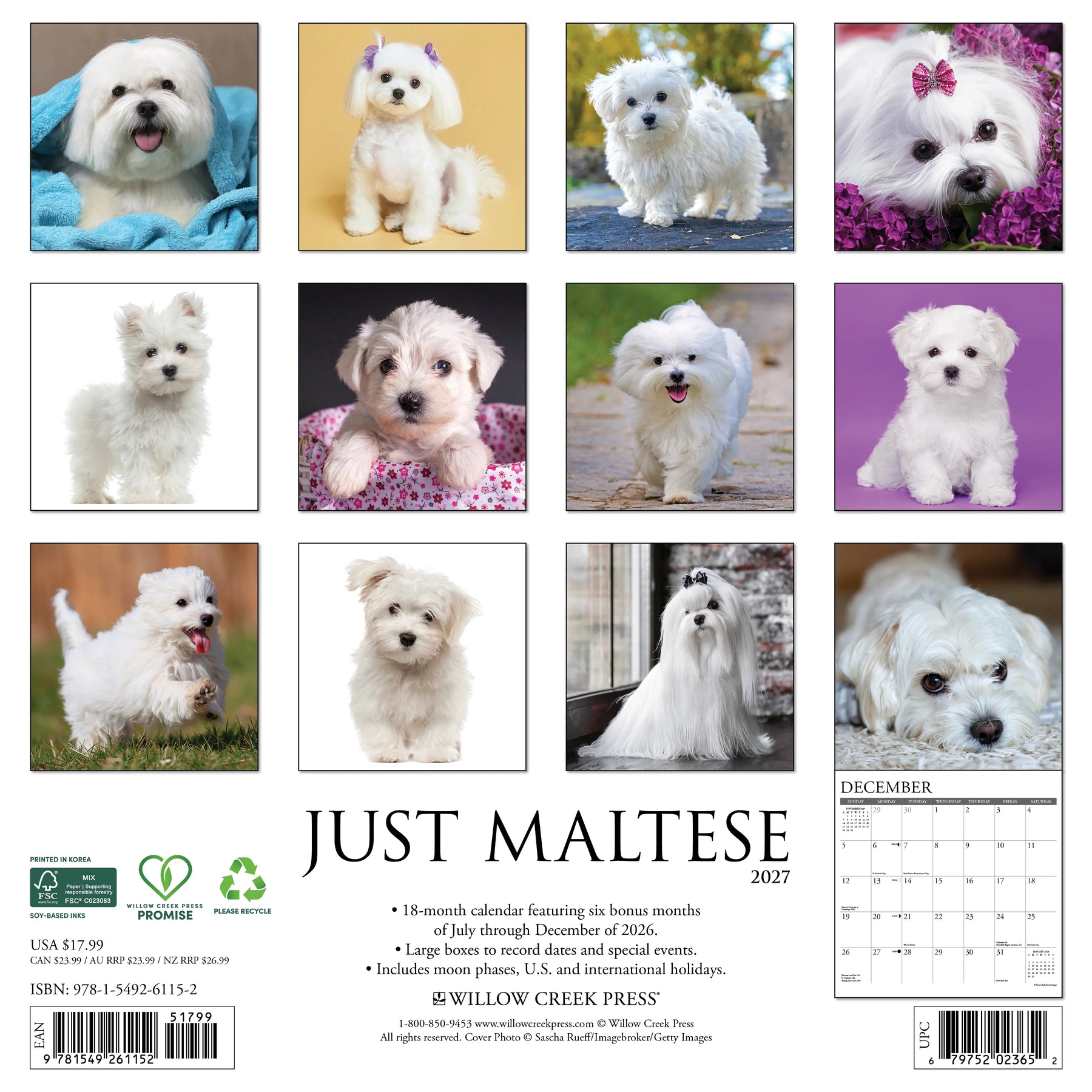 Willow Creek Press - 2027 Maltese Calendar