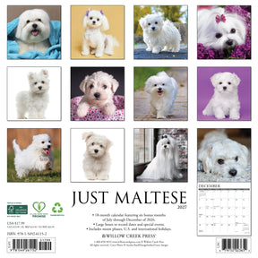 Willow Creek Press - 2027 Maltese Calendar