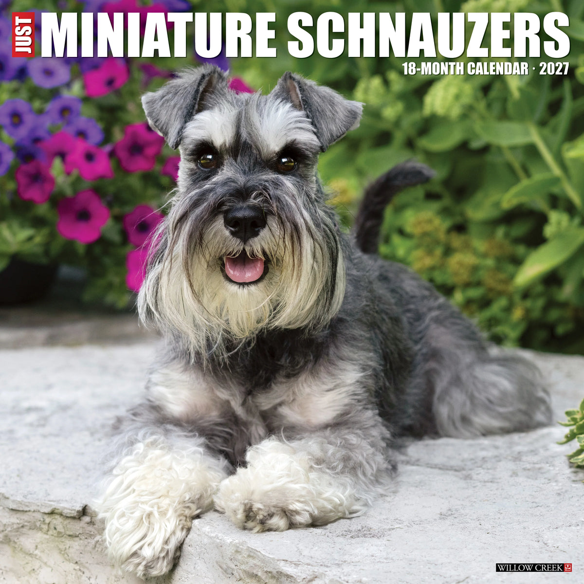 Willow Creek Press - 2027 Miniature Schnauzers Calendar
