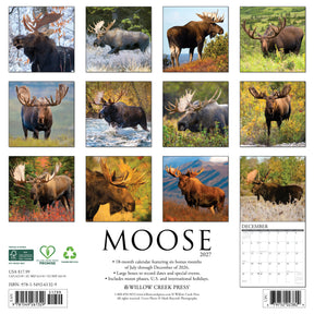 Willow Creek Press - 2027 Moose Calendar