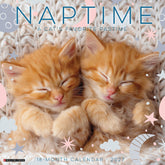 Willow Creek Press - 2027 Naptime: A Cats Favorite Calendar