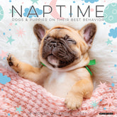 Willow Creek Press - 2027 Naptime: Dogs & Puppies On Their Best Behavior Calendar