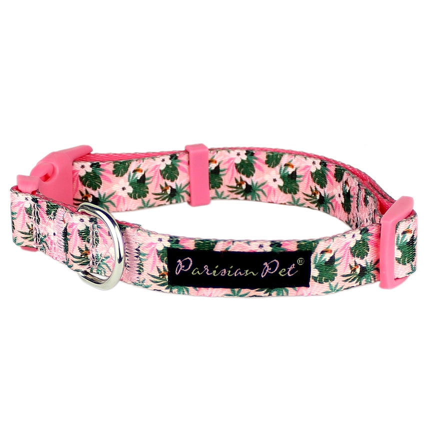 Parisian Pet - Dog Collar Tropical Toucan