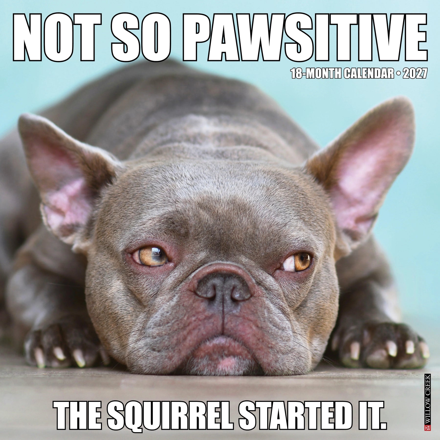 Willow Creek Press - 2027 Not So Pawsitive Calendar