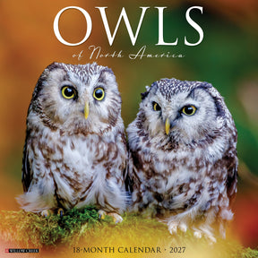 Willow Creek Press - 2027 Owls Of North America Calendar