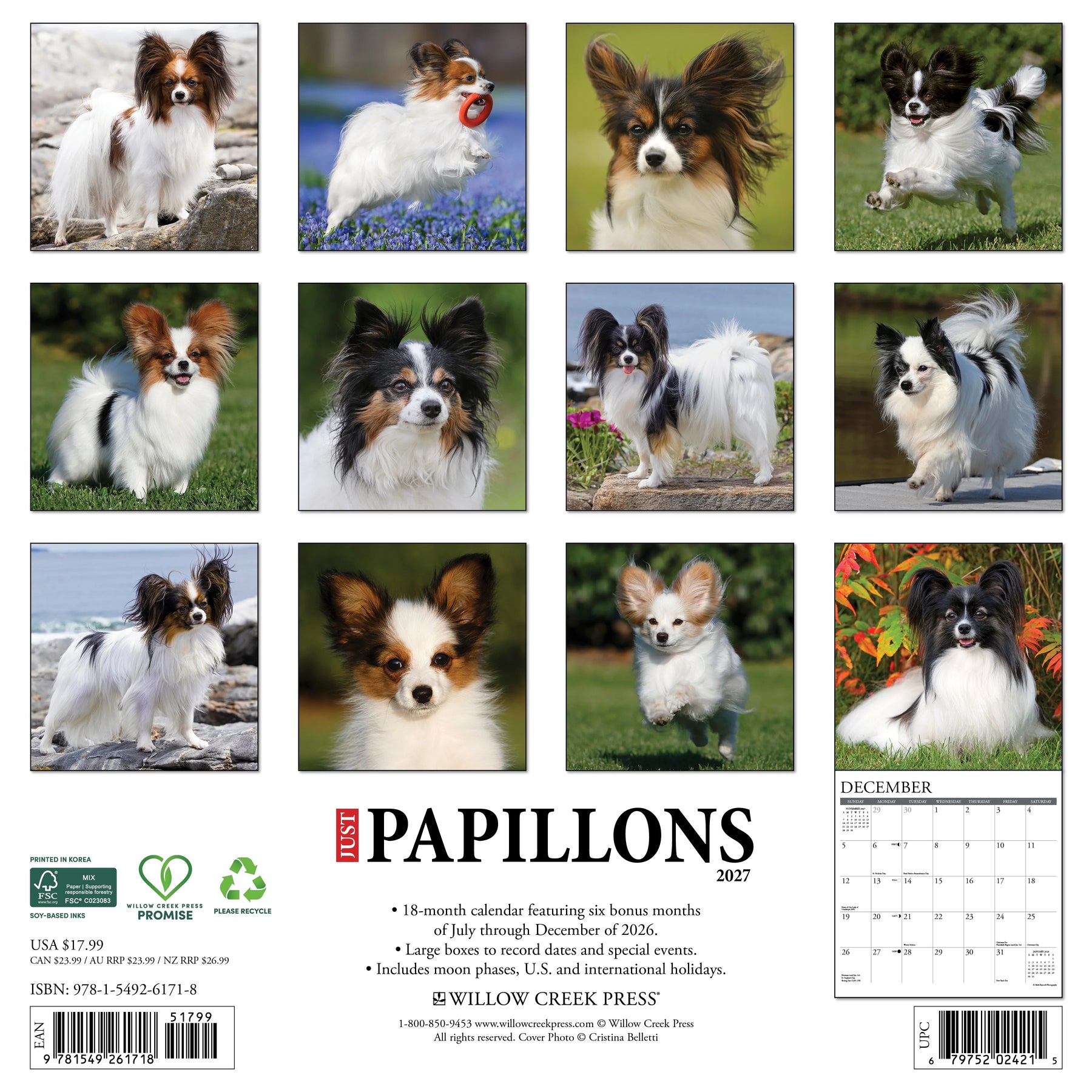 Willow Creek Press - 2027 Papillons Calendar