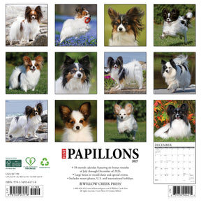 Willow Creek Press - 2027 Papillons Calendar