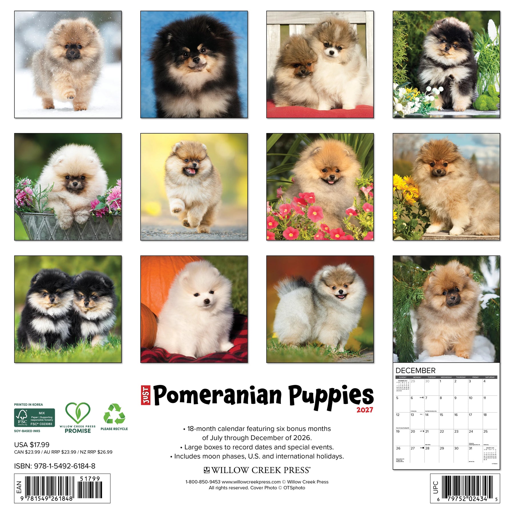 Willow Creek Press - 2027 Pom Puppies Calendar