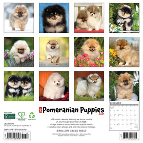 Willow Creek Press - 2027 Pom Puppies Calendar
