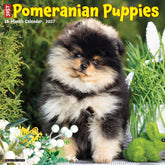 Willow Creek Press - 2027 Pom Puppies Calendar