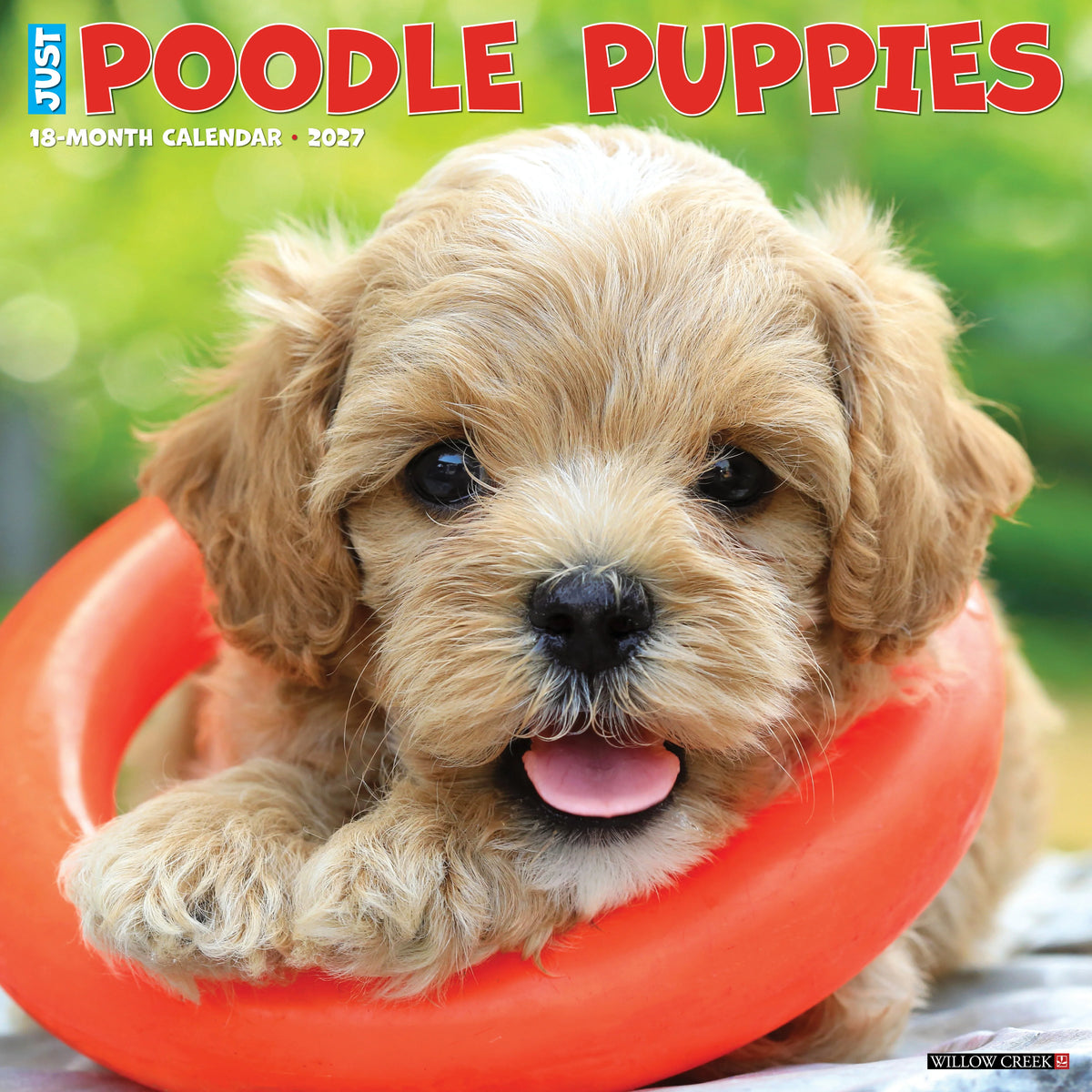 Willow Creek Press - 2027 Poodle Puppies Calendar