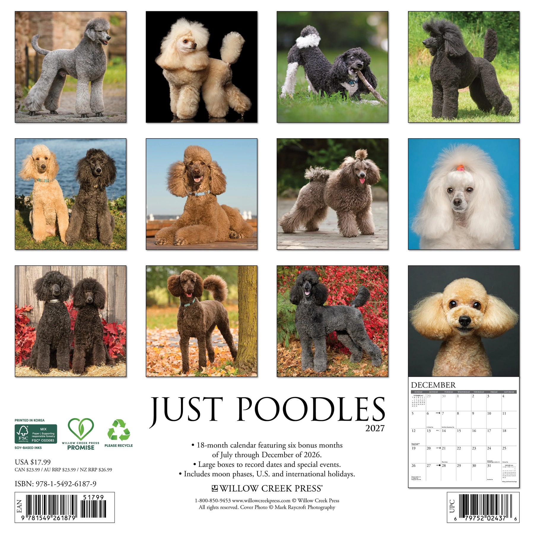 Willow Creek Press - 2027 Poodles Calendar