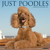 Willow Creek Press - 2027 Poodles Calendar